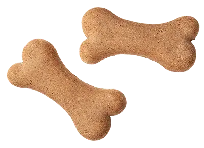 Dog biscuit